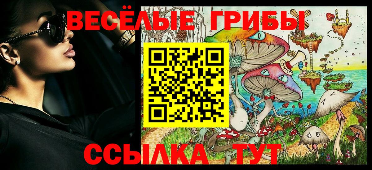 Псилоцибиновые грибы GOLDEN TEACHER  Галлюциногенные грибы мухоморы  Чапаевск  Вход с VPN 