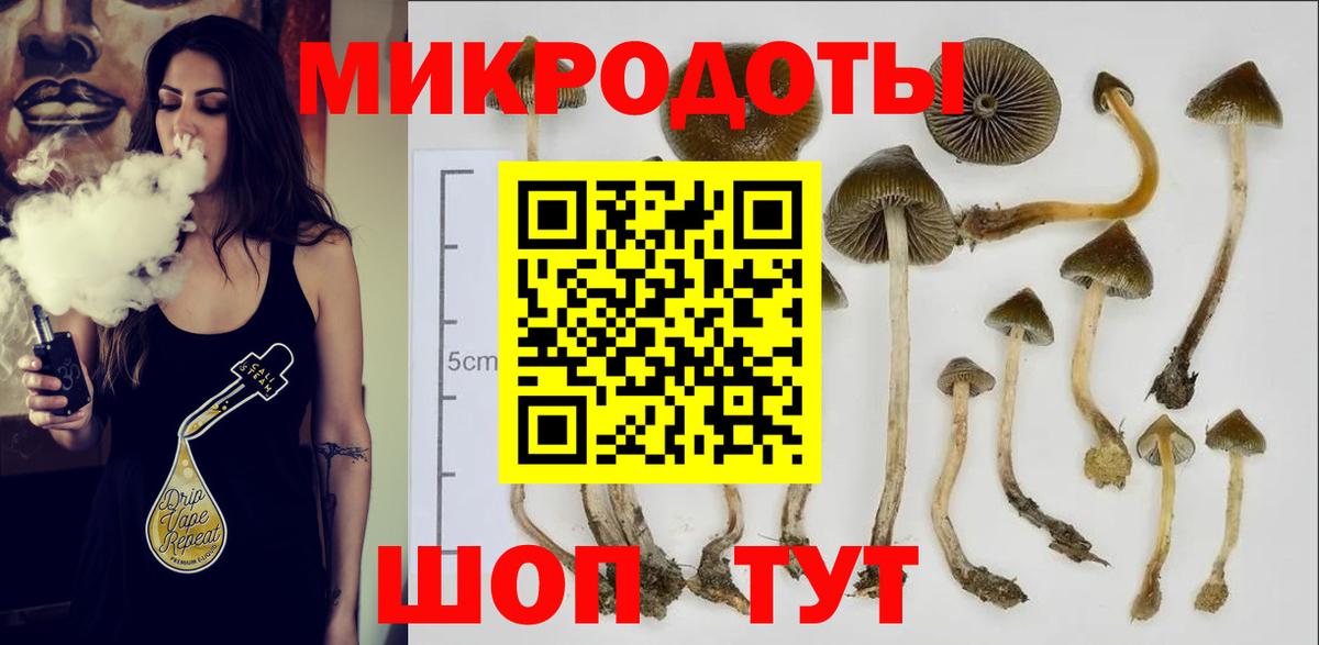 Галлюциногенные грибы Magic Shrooms Чапаевск